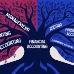 Branches of Accounting by Learnidea